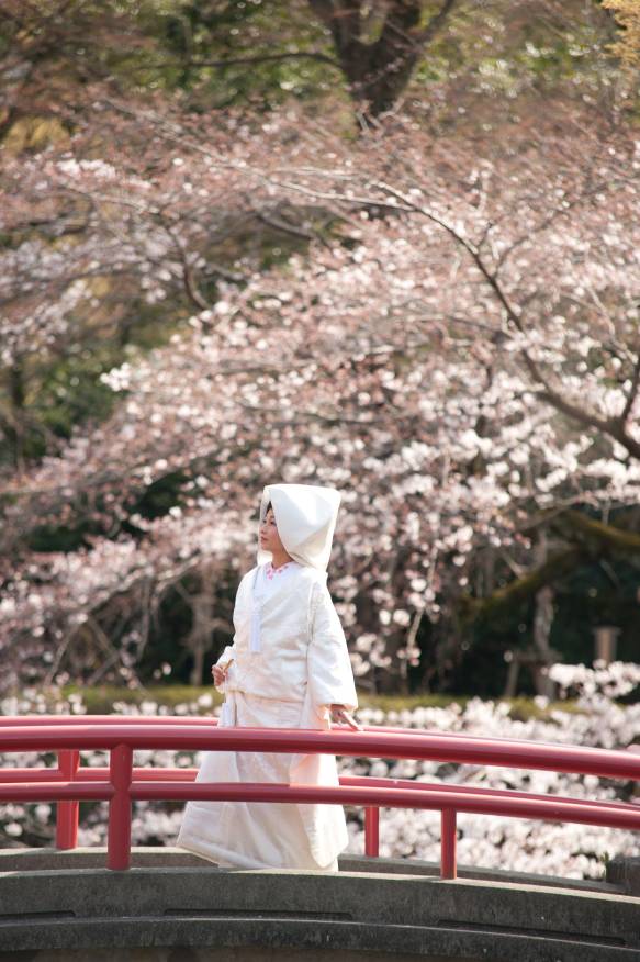 三嶋大社　神前式