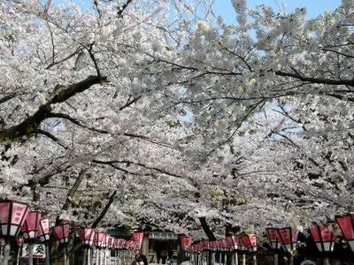 三嶋大社　神前式